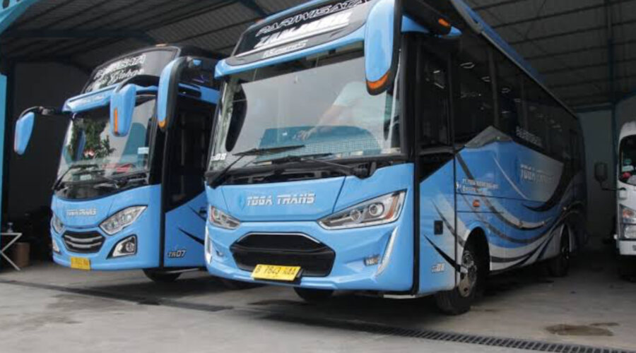 TOGA TRANS Bus Pariwisata